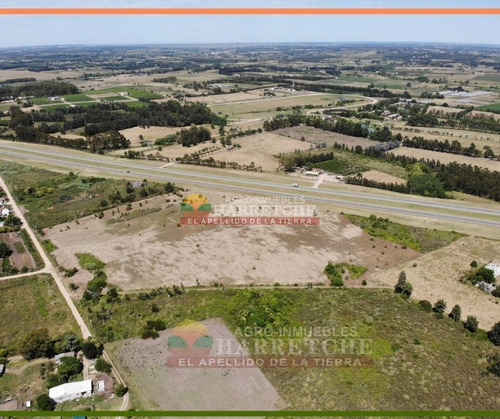 Imagen 9 de 14 de Terreno En Alquiler 44.857 M2 Urbanos Ruta 5 Apto Parque Industrial U$s 0.10 (el M2)