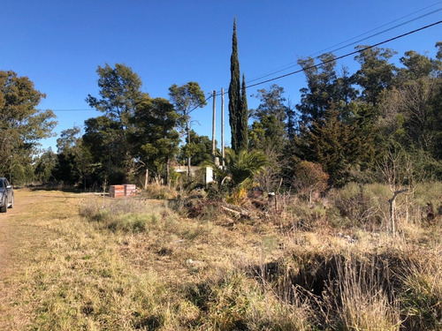 Imagen 7 de 7 de Lote Baldio T-737
