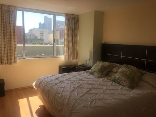 Imagen 5 de 11 de Polanco, Excelente Departamento Muy Amplio Con Pequeña Terra