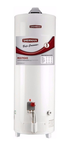 Termotanque Rheem Sherman 120 Lts Multi Gas Pie Beiro Hogar