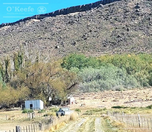 Imagen 6 de 30 de Campo En Venta De 14.000 Has En Neuquen Patagonia Argentina - Estancia Ganadera