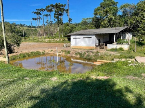 Imagem 5 de 15 de Cod - 5711 - Lindo Sitio Medindo 30 Mil M² Em Ibiuna - 5711