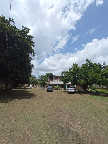 Imagen 3 de 25 de Finca Tinaquillo Terreno Multipropósito En Tinaquillo- Aguirre. Estado Cojedes. T26