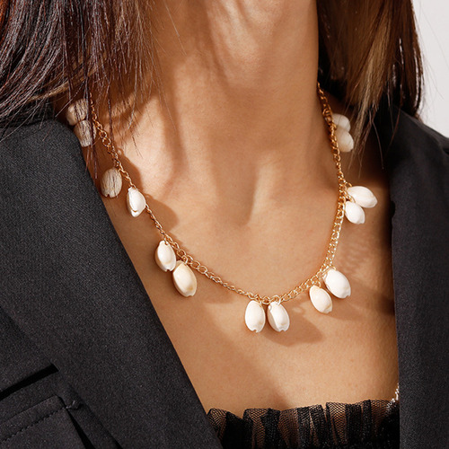 Collar Cowrie Collar Beach Shell The Summer