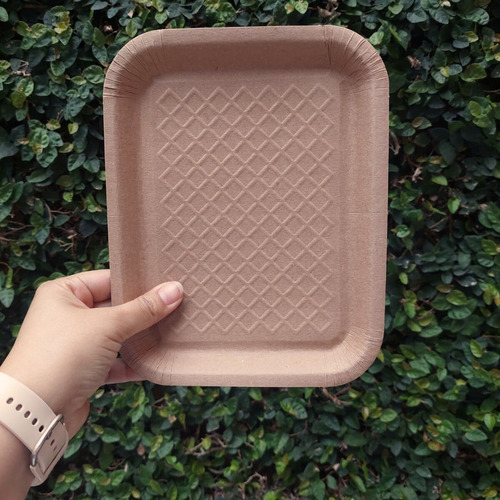 Platos Charola Carton Bandeja Desechable 100 Pzas 23x18 Cm Color Caqui