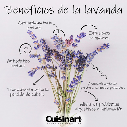 Infusión Descongestionante Menta Hierbabuena Tomillo. 3 Pzas