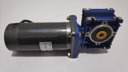 Motor 100w 22rpm Con Worm Speed Reducer 12vdc