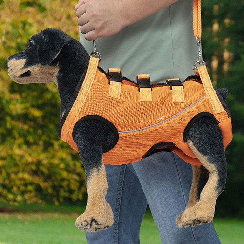 Arnés Para Perros Con Soporte De Elevación, Xl Naranja