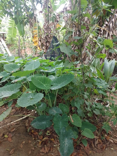 Vendo Casa Em Itaguaí, Na Amendoeira, Parte De Cima.
