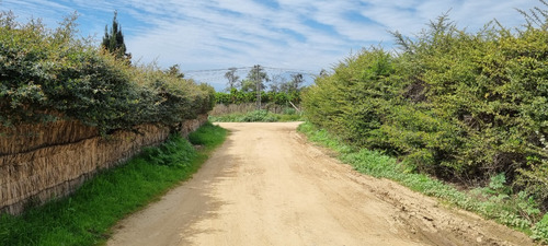 Se Vende Encantadora Y Amplia Casa En Limache