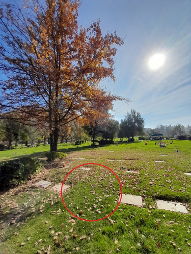 Lote De Cementerio Parque Del Recuerdo Cordillera - Chequen