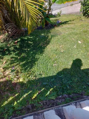 Casa, Miranda, Carrizal