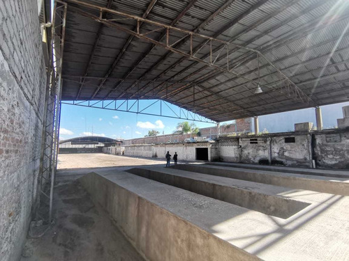 Rento Bodega En Carretera Villagrán Esquina Eje Juan Pablo S