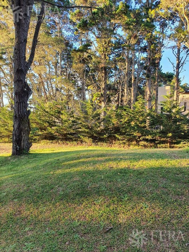 Imagen 2 de 5 de Venta De Terreno En Costa Del Este (28536)