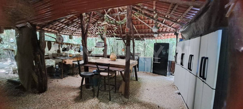 Terreno Con Villa Y Cenote En Ruta De Los Cenotes, Puerto Morelos
