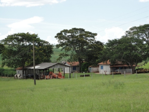 Fazenda À Venda Em Marabá Paulista - Fa00121 - 69026817