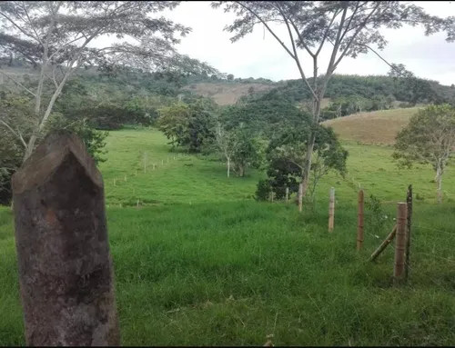 Vendo Finca Ganadera En Restrepo Valle