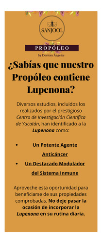 Miel Con Propóleo Puro (3 Pack)