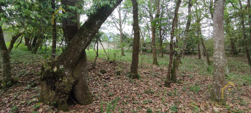 Terreno Enventa En Piedra De Agua En Jilotepec Veracruz