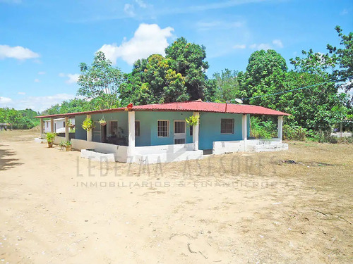 Imagen 3 de 14 de Ledezma Asesores Vende Casa Campestre En 24 De Julio, Ciudad Bolívar Estado Bolívar- Venezuela.