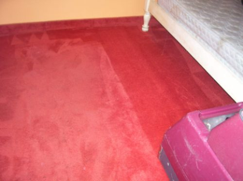 Imagen 2 de 8 de Limpieza Y Lavado De Alfombras,carpetas Y Tapizados