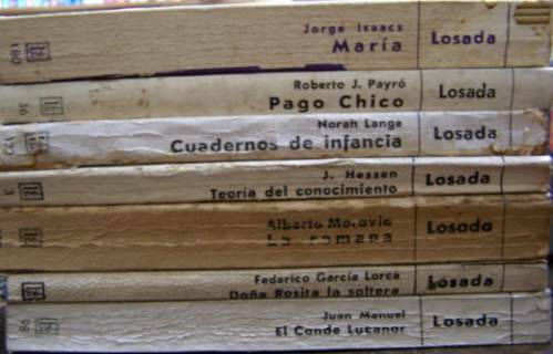 Lote 21 Libros * Biblioteca Clasica Y Contemporanea * Losada