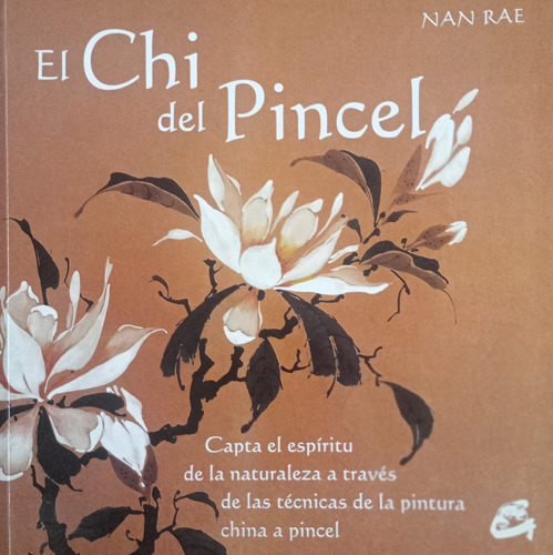 Libro Usado El Chi Del Pincel - Nan Rae