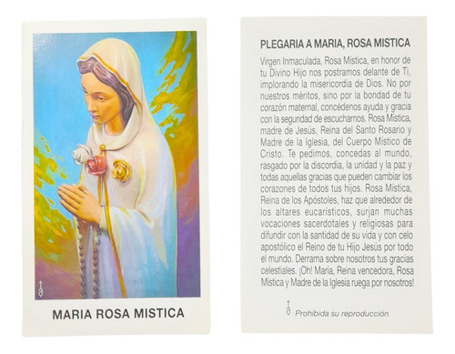Estampas Virgen Rosa Mistica Santoral Virgen X 100 Un