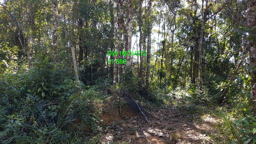 Imagem 16 de 19 de Juquitiba/terreno Com Mata E Nascente. - 05000 - 68089597