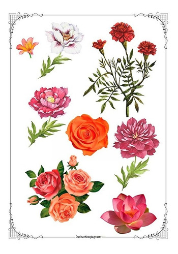 Imagen 6 de 9 de Láminas Para Transferencias Tamaño A4 - 21 X 29 Cm - Vintage