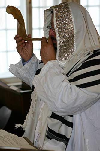 Shofar Zion Kosher Shofar Natural Sin Olor | Cuerno De Carne