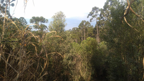 Imagem 15 de 15 de Chácara Para Venda Em Campina Grande Do Sul, Imbuial - 00292_2-1224372