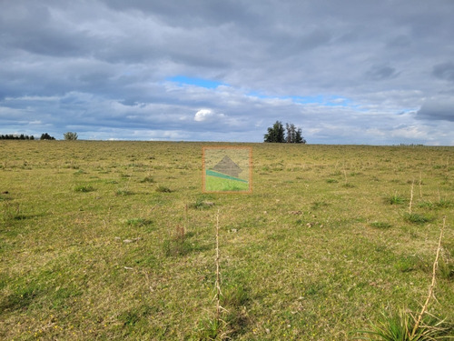 Imagen 23 de 25 de 20has De Campo Sobre Ruta 12 Pueblo Edén