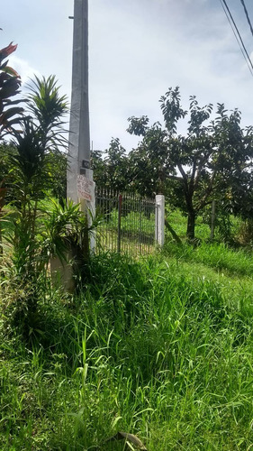 Imagem 2 de 5 de Lote Para Formação De Chácara, Em Mogi Das Cruzes - Sp