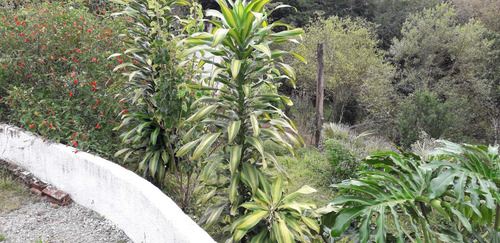 Chácara Com 6.000m2 E Casa Nova De 125m2 Em Cipó Guaçu-linda