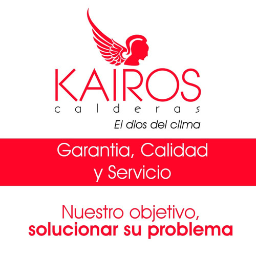 Caldera Ariston Bs Il 24 Ff Doble Servicio Kit Vent S/cargo