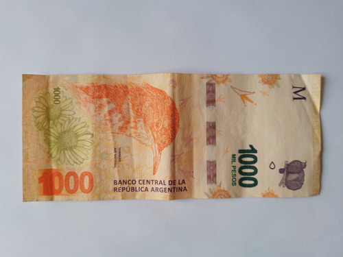 Billete Error Falla Mancha Tinta 1000 Pesos Hornero Y (Usado)