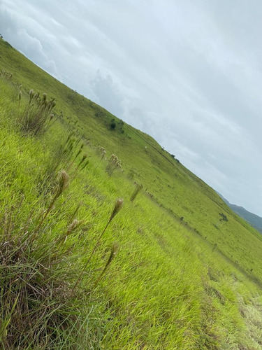 Imagem 4 de 9 de M57- Vendo Terrenos Em Atibaia