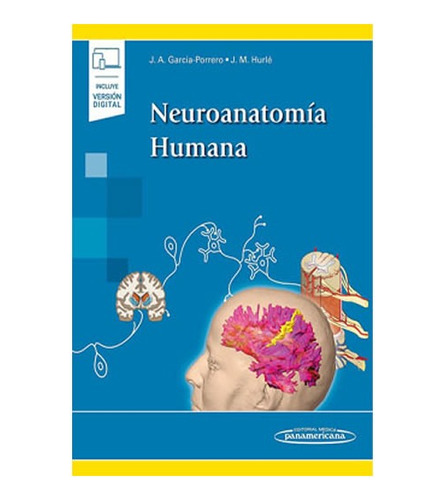 Garcia Porrero Neuroanatomia Humana Libro Original