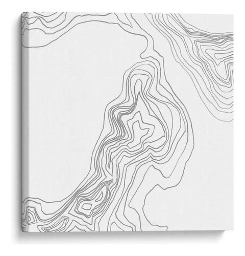 Canvas Lab Cuadro Topografía Contour Iii 60x60