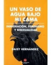 Un Vaso De Agua Bajo Mi Cama: Inmigración, Feminismo Y Bisex