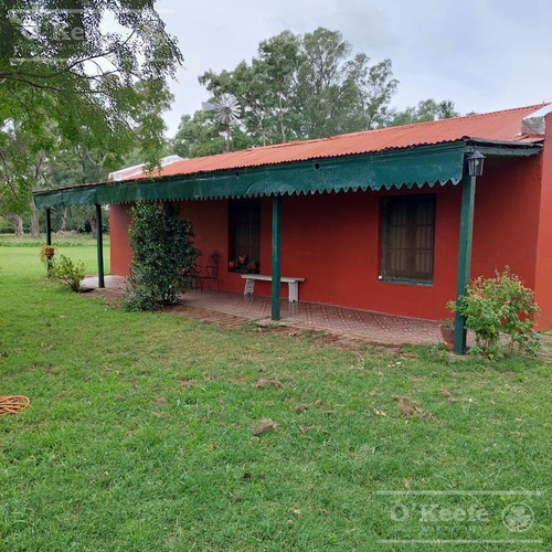 Imagen 13 de 20 de Campo En Venta 120 Has En Mercedes - Mixto Con Casco