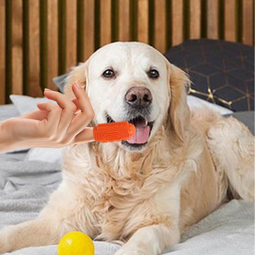 Cepillo De Dientes Para Perros Cepillo De Dientes Para Perro