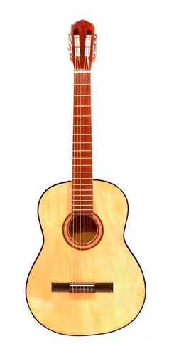 Guitarra Criolla Clasica Con Funda Y Puas Varios Colores