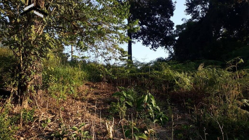 Imagem 10 de 15 de Ótimo Terreno Em Condomínio Fechado Em Caucaia Do Alto - Cotia - 294