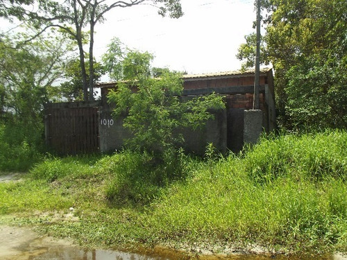 Imagem 26 de 30 de Terreno - Te00031 - 3240162