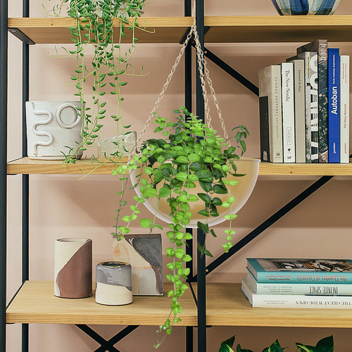 Soporte Para Colgar Plantas De Interior