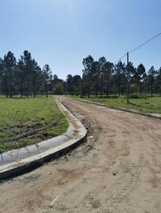 Imagen 7 de 18 de Terreno - Nueva Zelaya