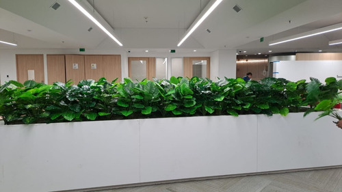 Telefono Garra Planta Artificial Decoracion Tropical 80 Cm