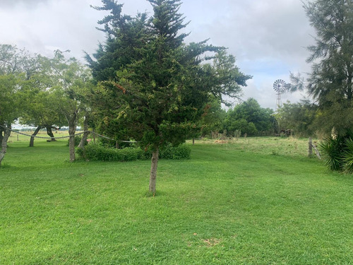 Imagen 9 de 12 de Campo En Venta En Punta Indio - Dacal Bienes Raices